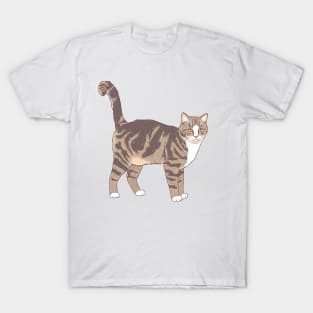 Brown and White Tabby Cat T-Shirt